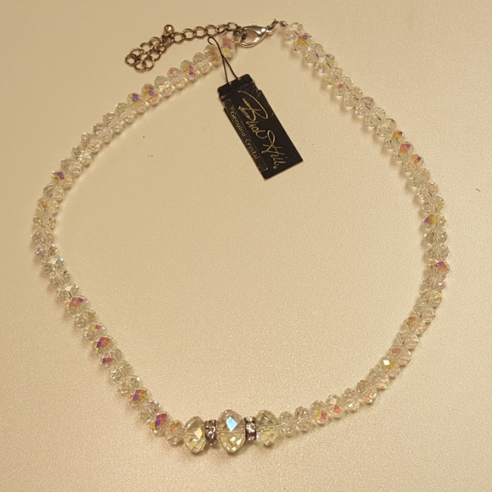 Birch Hill Crystal Necklace NWT
